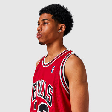 Chicago Bulls Authentic Jersey - View 5 - Jersey Zone