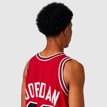 Chicago Bulls Authentic Jersey - View 6 - Jersey Zone