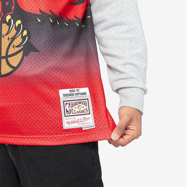 Atlanta Hawks Dikembe Mutombo 96-97 Swingman Jersey - View 4 - Jersey Zone