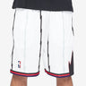 Toronto Raptors 98-99 Swingman Shorts - Front View - Jersey Zone