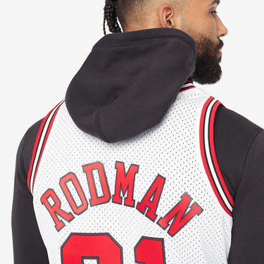 Chicago Bulls Dennis Rodman Swingman Jersey - View 6 - Jersey Zone