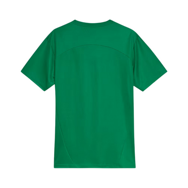 Palmeiras Training 25/26 Fan Shirt - Fabric and Crest Detail - Jersey Zone