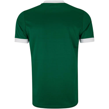 Palmeiras Home 25/26 Fan Shirt - Back View - Jersey Zone