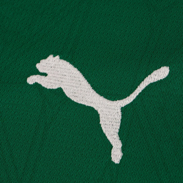 Palmeiras Home 25/26 Fan Shirt - View 4 - Jersey Zone