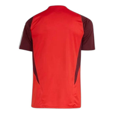 Internacional Training 24/25 Fan Shirt - View 7 - Jersey Zone