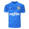 Palmeiras Goalkeeper 24/25 Fan Shirt - Front View - Jersey Zone